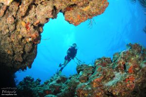 ????????????????????????????????????