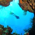 The Joy of Diving in Puerto Rico
