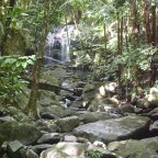 A Day in El Yunque National Rainforest