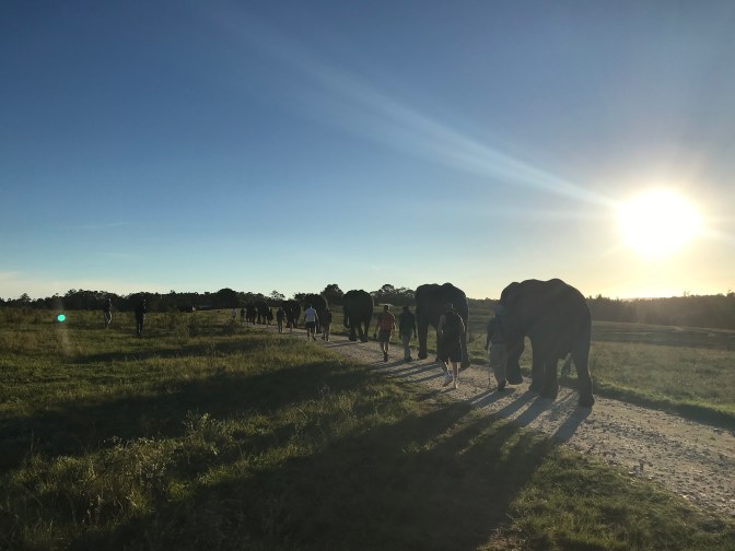 20190425_150758963_iOS